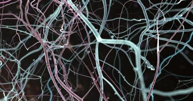 neuropsychologue