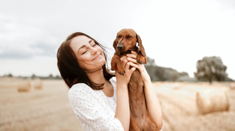femme avec son chien dans les bras dans un champ