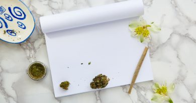 fleur de CBD
