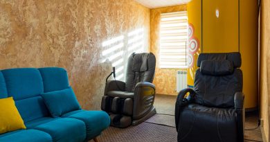 siège de massage shiatsu