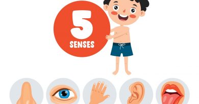 les 5 sens des enfants