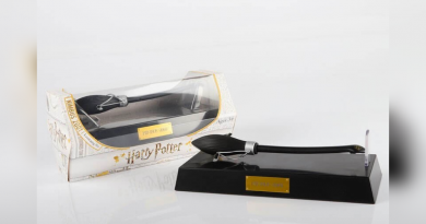 porte stylo en forme de balais harry potter