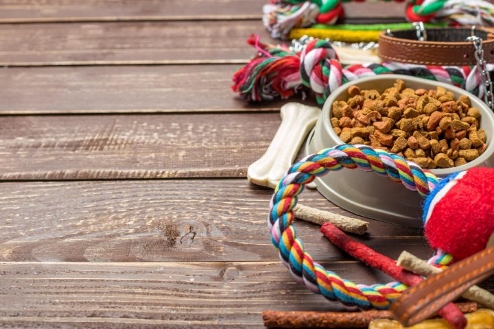 des croquettes pour chien dans une gamelle